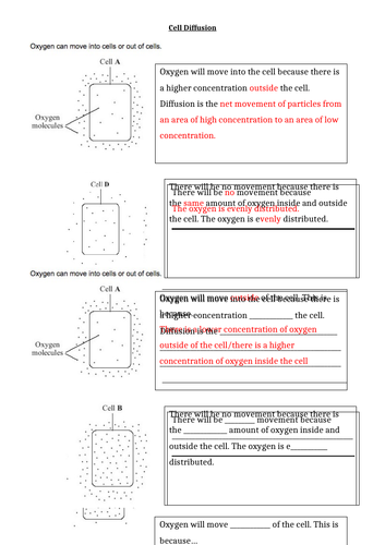 docx, 101.61 KB