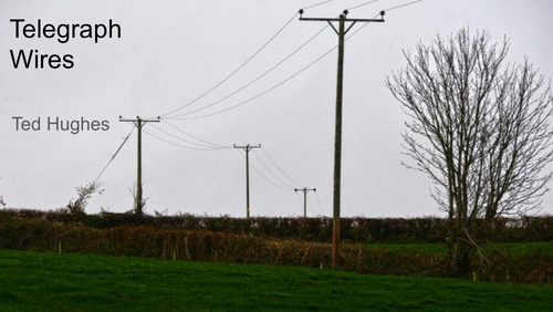 'Telegraph Wires' by Ted Hughes: analysis and tasks. | Teaching Resources