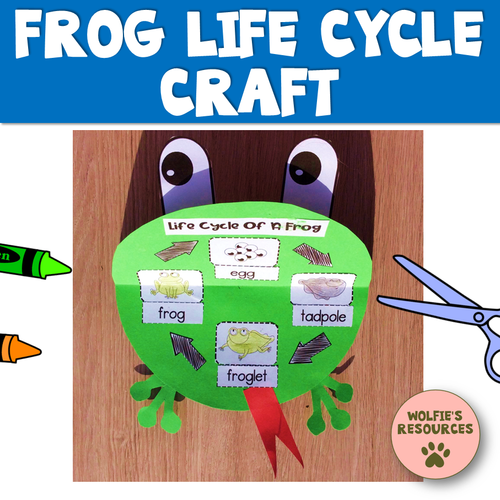 Pond Life Activities KS1 Teaching Resources