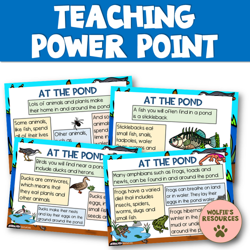 Pond Life Activities KS1 Teaching Resources