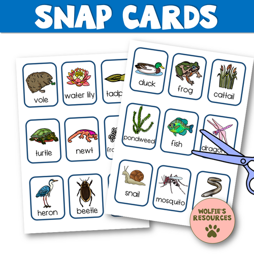 Pond Life Activities KS1 Teaching Resources