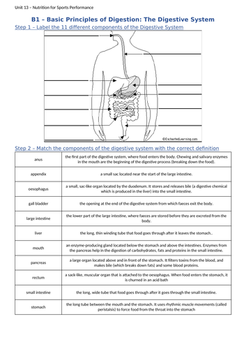 Unit 13 - Nutrition Bundle - BTEC L3 Sport & Exercise Science ...