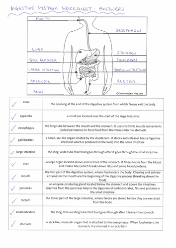 Unit 13 - Nutrition Bundle - BTEC L3 Sport & Exercise Science ...