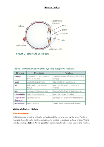 docx, 1.53 MB