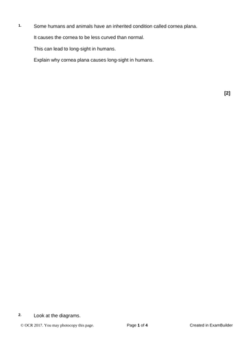 docx, 835.23 KB