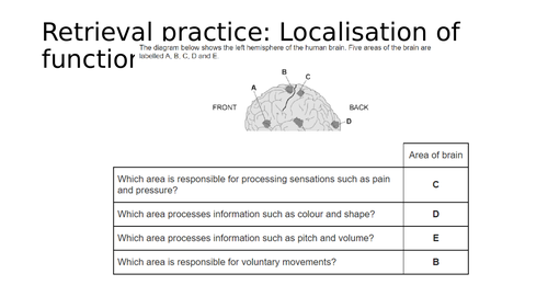 Split brain research AQA Psychology | Teaching Resources