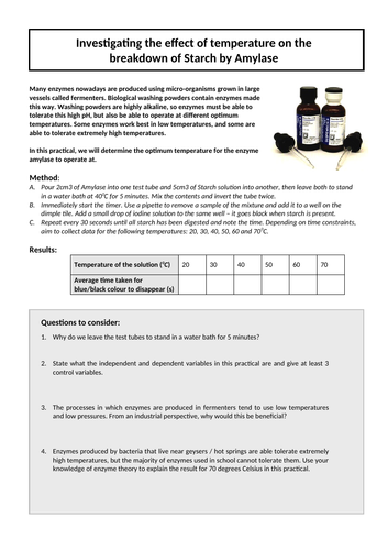 docx, 40.95 KB