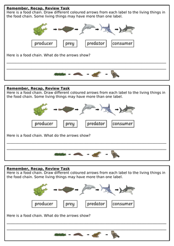 Year 4 Science Animals Unit | Teaching Resources