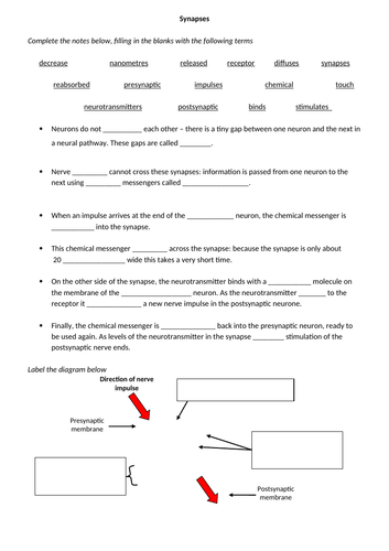 AQA psychology synaptic transmission | Teaching Resources