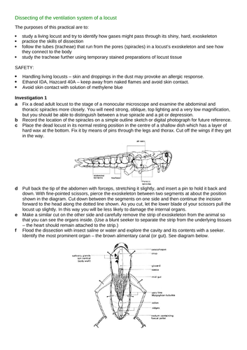 docx, 216.92 KB