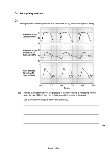 docx, 91.1 KB