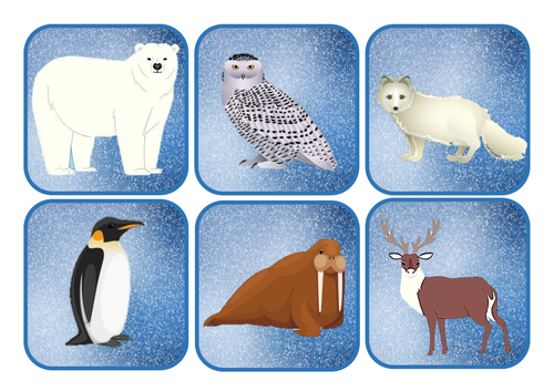 Polar animals theme scavenger hunt