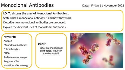 AS/A2-Level AQA Biology Monoclonal Antibodies Hybridoma ELISA Pregnancy Test Immunity Full Lesson