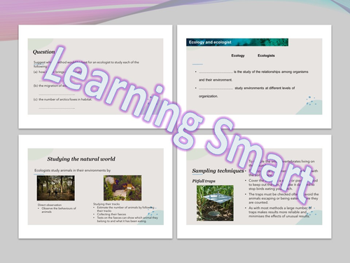 KS3_Secondary 1 checkpoint_worksheet and revision (with answer script ...
