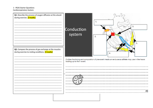 CARDIOVASCULAR WORKSHEET