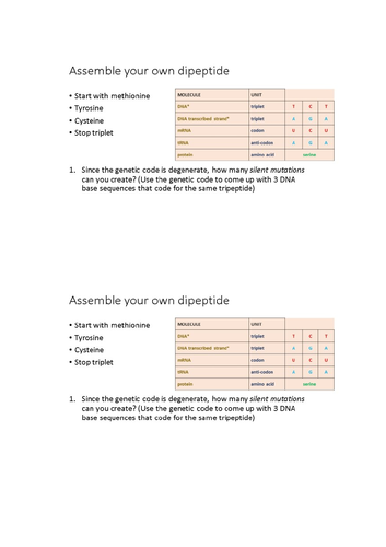 AQA A level Biology – 3.8 The control of gene expression - 1 Mutations ...