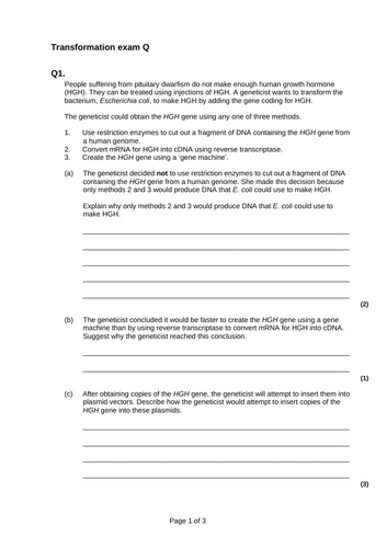 AQA A level Biology – 3.8 The control of gene expression – 7 Genetic ...