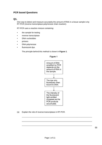 AQA A level Biology – 3.8 The control of gene expression – 8 PCR ...