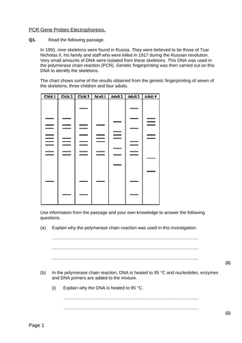 AQA A level Biology – 3.8 The control of gene expression – 9 DNA Probes ...