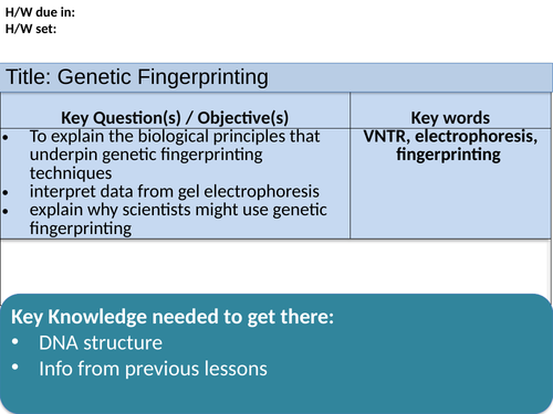 AQA A level Biology – 3.8 The control of gene expression – 10 1 Genetic ...