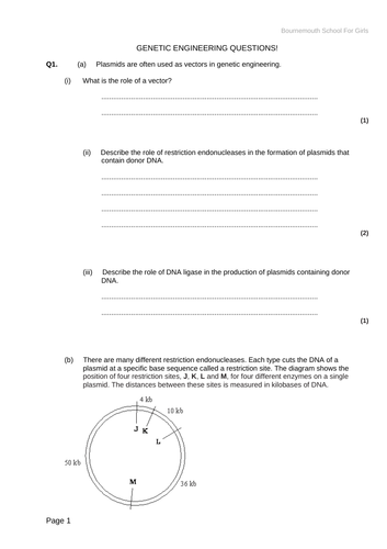 AQA A level Biology – 3.8 The control of gene expression – 11 ...