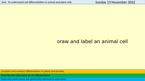 AQA GCSE Biology B2.02 Growth and Differentiation | Teaching Resources