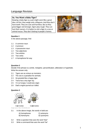 Comprehension and Language (Grammar) Revision