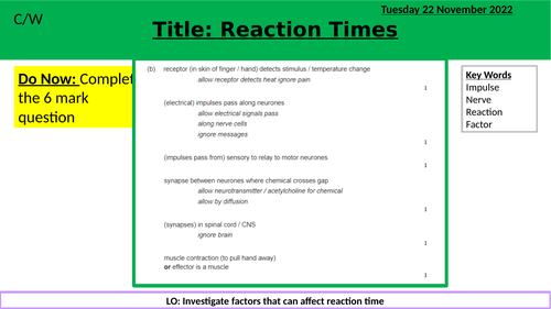 Reaction Time Required Practical | Teaching Resources