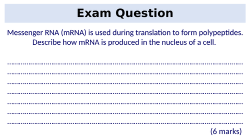 20.3 Regulation of Transcription & Translation