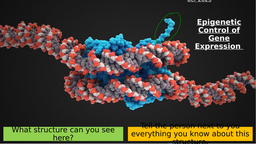 20.4 Epigenetic Control of Gene Expression