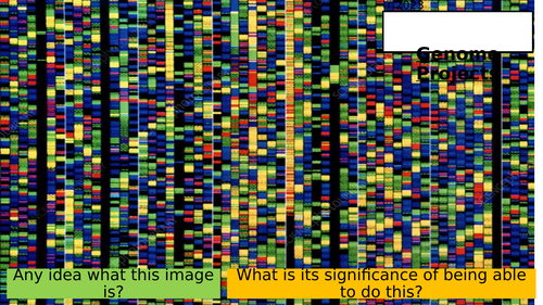 20.6 Genome Projects