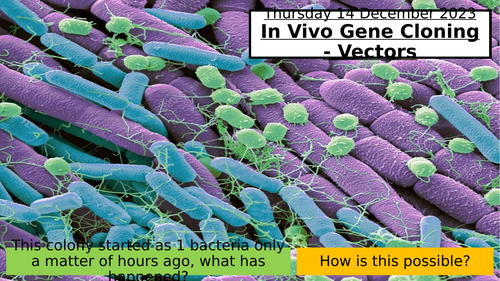 21.2 In-Vivo Gene Cloning - the use of vectors