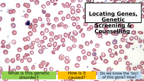 21.4 Locating Genes, Genetic Screening & Counselling