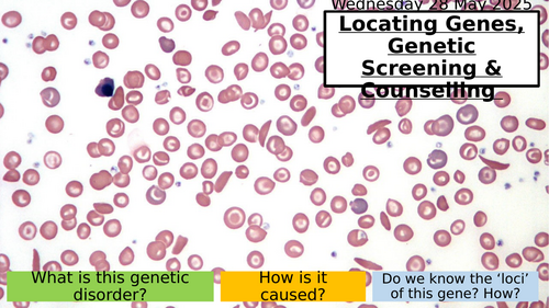 21.4 Locating Genes, Genetic Screening & Counselling