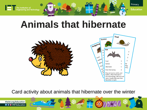 Which animals hibernate? Card game | Teaching Resources