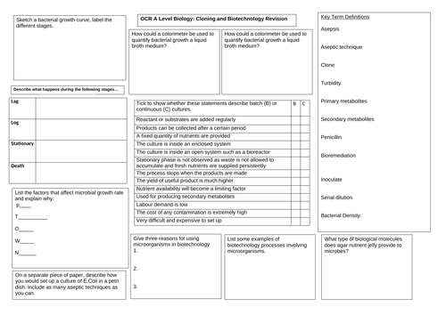 OCR A Level Biology Cloning and Biotechnology revision summary ...