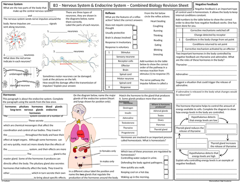 OCR Gateway GCSE Comb Science Biology B3 Revision Mat