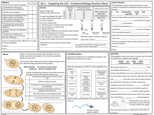 OCR Gateway GCSE Comb Science Biology B2 Revision Mat