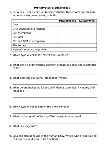 docx, 21.64 KB