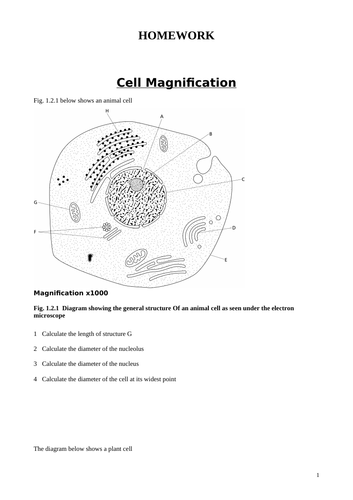 BTEC Applied Science Unit 1- Magnification | Teaching Resources