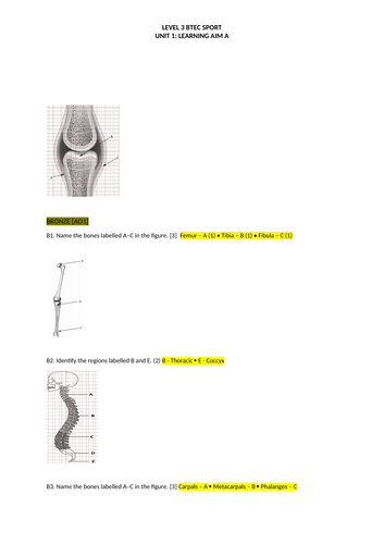 btec sport level 3 unit 5 assignment 1