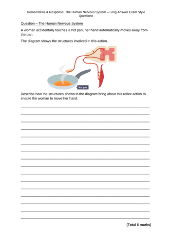B5 Homeostasis & Response AQA GCSE Science Biology Revision 9-1 ...