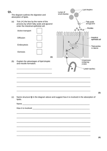 docx, 100.73 KB