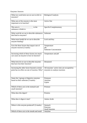 GCSE Biology Test - Enzymes