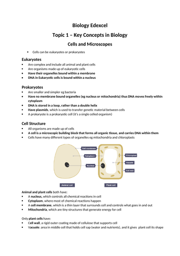 docx, 668.26 KB