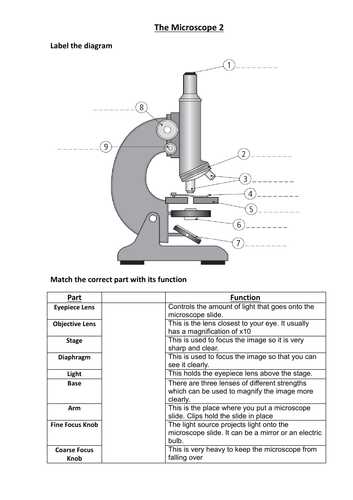 Cells to Organisms KS3 Whole topic lessons (middle school) | Teaching ...