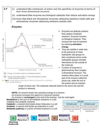 Edexcel International A level biology Unit 1 | Teaching Resources