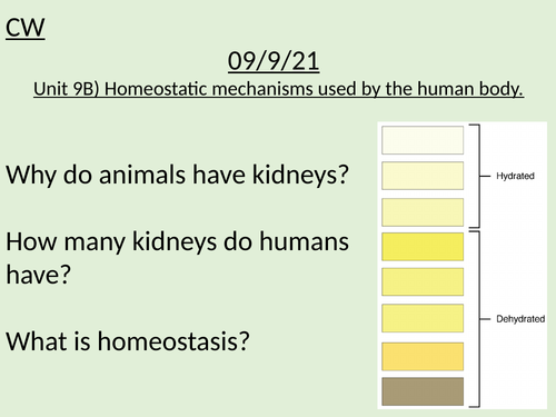 Homeostatic mechanisms used by the human body BTEC Applied Science ...