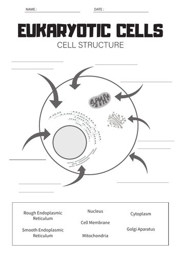 Eukaryotic Cell Structure worksheet | Teaching Resources