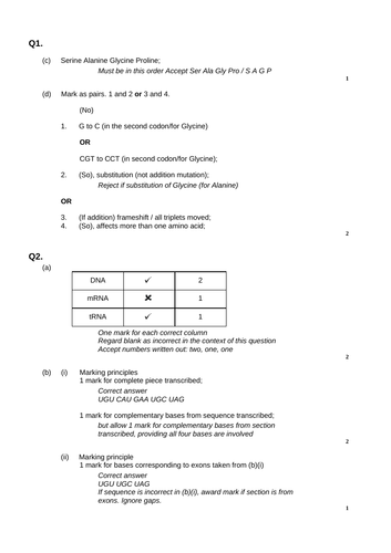 docx, 15.98 KB